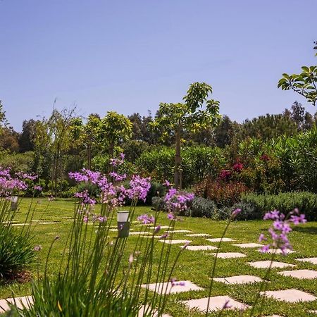 Mear Holiday Homes - Cretan Summer Getaways Kountoura Selino Exteriör bild