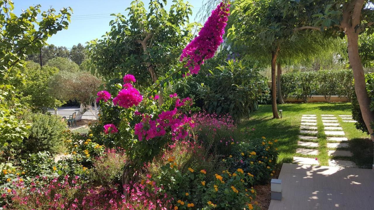 Mear Holiday Homes - Cretan Summer Getaways Kountoura Selino Exteriör bild